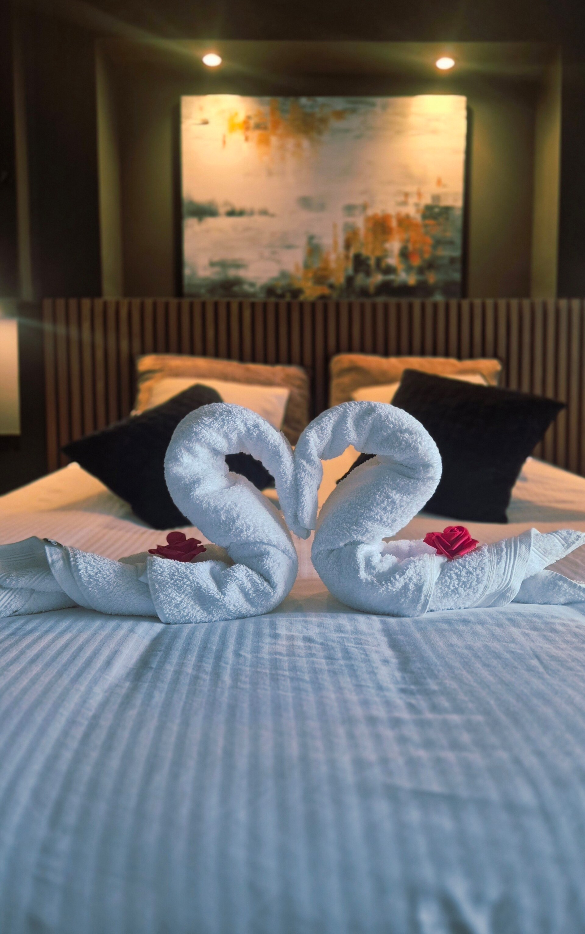 Appartement romantique avec jacuzzi privatif à Canet Plage