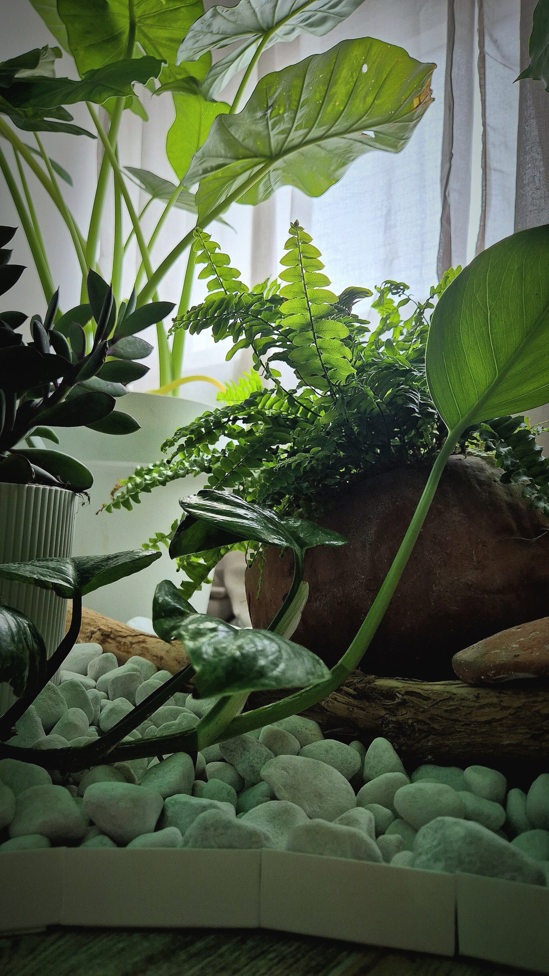 Coucher de soleil sur la Méditerranée vu depuis la terrasse DIVINA