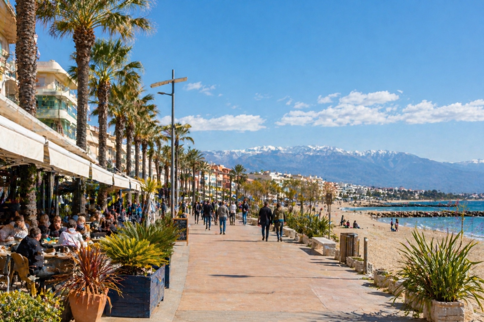 Promenade de Canet-en-Roussillon en mai sous les palmiers avec les Pyrénées enneigées en arrière-plan