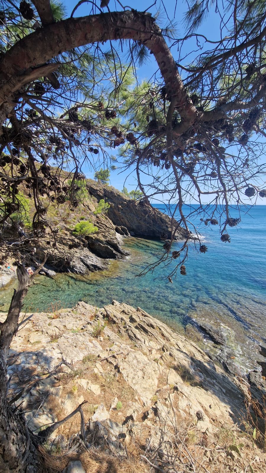 Couple en randonnée côtière sur les hauteurs avec vue sur la baie et les Pyrénées enneigées